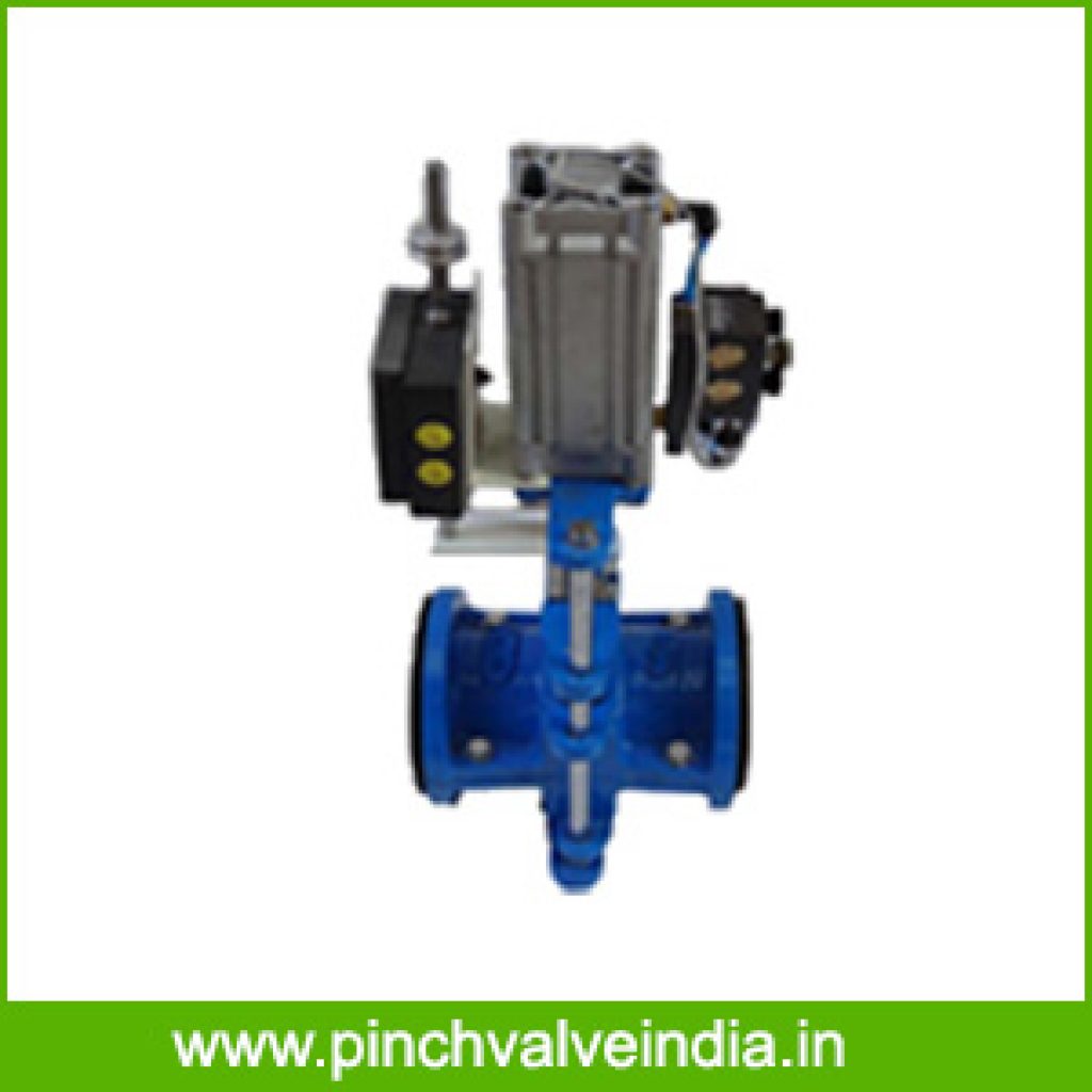 Pneumatic Pinch Valve Manufacturer in Ahmedabad