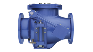 Manufacturer of Check Valves in Ahmedabad