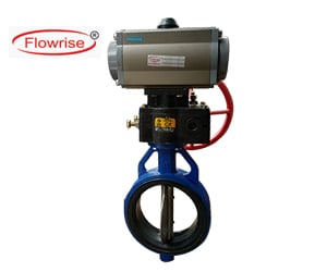 Butterfly valve Manufacturer